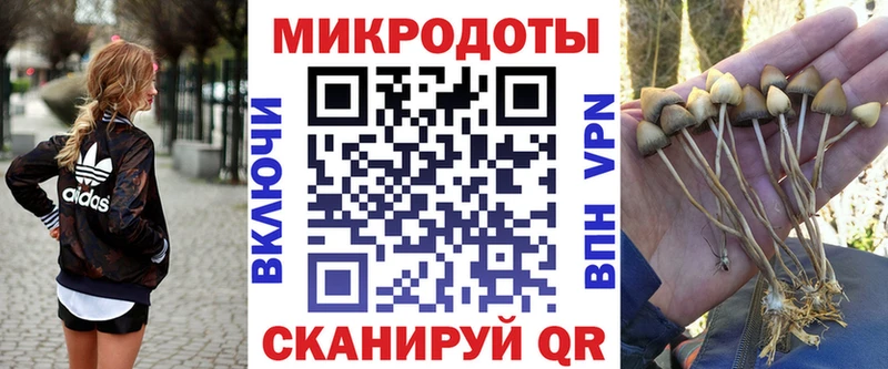 Псилоцибиновые грибы прущие грибы  Купить где  Ржев 